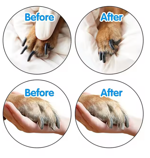Painless Pet Nail Grinder